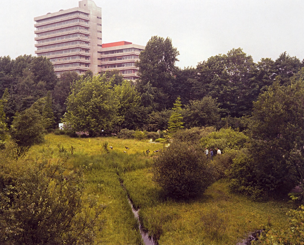 Essen (Field and Office Building)