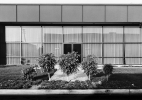 37 – East Wall, Business Systems Division, Pertec, 1881 Langley, Santa Ana
