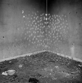 John Divola, Vandalism