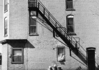 Lower West Side, Buffalo (German Shepard in front of building)