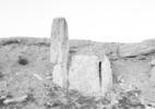 Necropolis, Pamyra (B2-N7), 2010