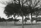 Texas Memories #2: Playground of David Crockett Elementary School where I Attended Grades 1-7, Wichita Falls, Texas, 1984/1988