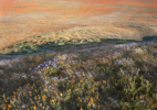 06. Hilltop, archival pigment print, 2010, 36 x 44 inches