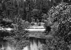 Occupied Landscape #1, (Yosemite), 1989/92 19″x19″ B&W Photograph
