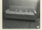 120 Alternatives, 1971
