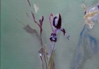 Judy Linn’s Irises_2021 _16x12in
