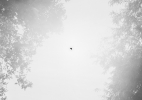 AnnularEclipse