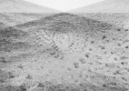 Rotation Study2