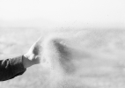 Westerly Wind