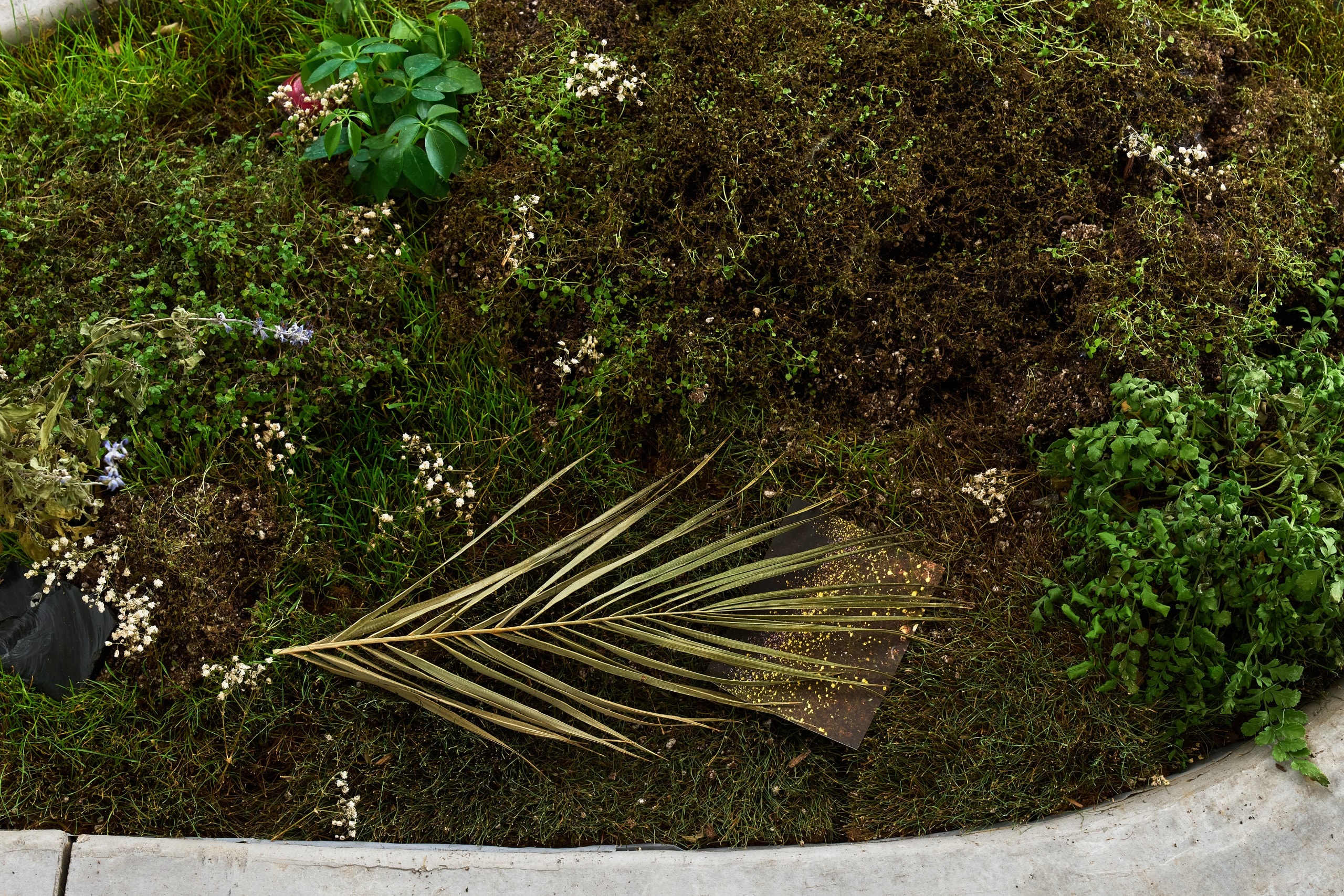 LUISOTTI-AM-INSTALL-24