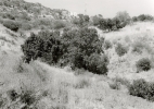 Hollywood Sign_10_2017